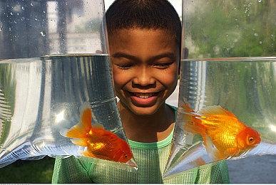 移动科技公司AppLovin提出以175亿美元收购Unity