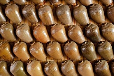 神谷英树放言再做6部《猎天使魔女》 讲完全部故事